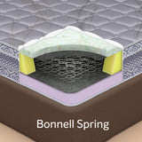 Sleepwell Spine Plus Regular | Visco Rebonded Foam | Bonnell Spring | Neem Fresche Technology | Anti Sag Mattress