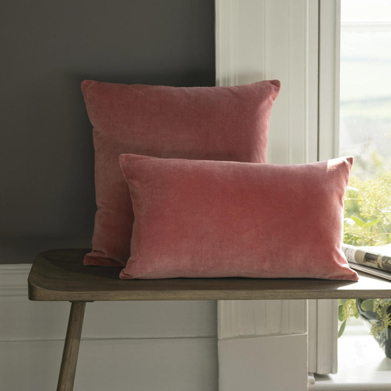 Jaipur Cushion